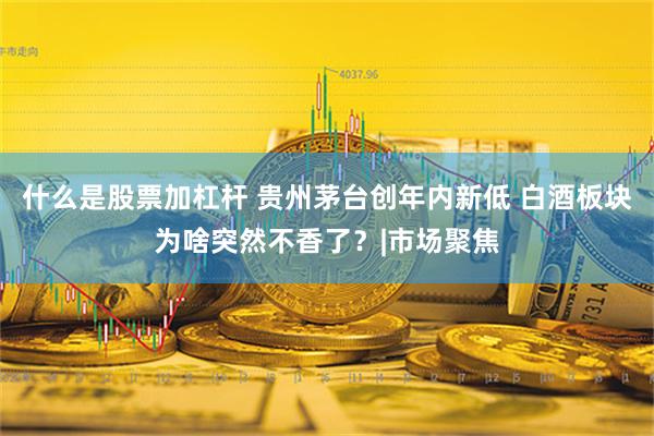 什么是股票加杠杆 贵州茅台创年内新低 白酒板块为啥突然不香了？|市场聚焦