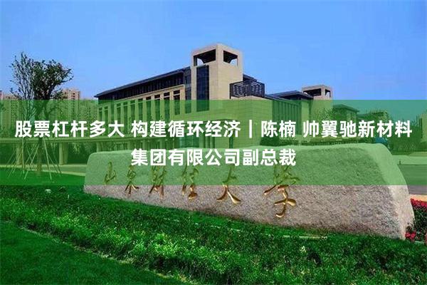 股票杠杆多大 构建循环经济｜陈楠 帅翼驰新材料集团有限公司副总裁