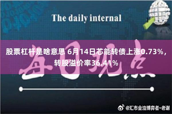 股票杠杆是啥意思 6月14日芯能转债上涨0.73%，转股溢价率36.41%