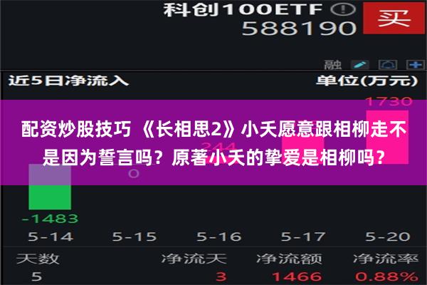 配资炒股技巧 《长相思2》小夭愿意跟相柳走不是因为誓言吗？原著小夭的挚爱是相柳吗？