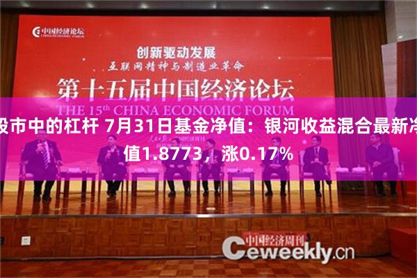 股市中的杠杆 7月31日基金净值：银河收益混合最新净值1.8773，涨0.17%