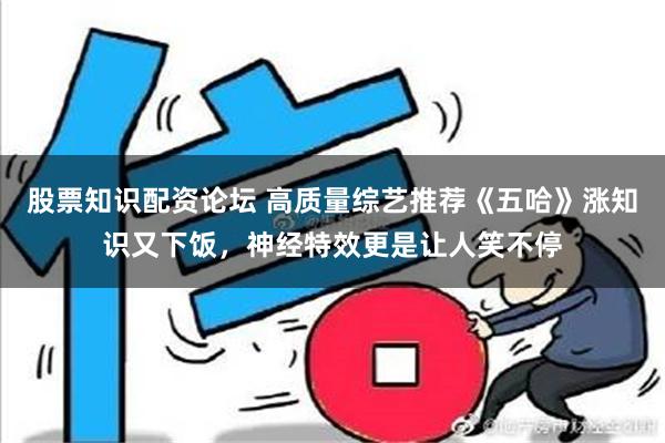 股票知识配资论坛 高质量综艺推荐《五哈》涨知识又下饭，神经特效更是让人笑不停