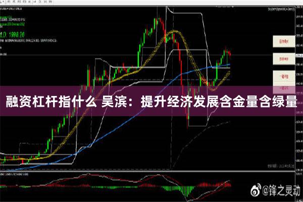 融资杠杆指什么 吴滨：提升经济发展含金量含绿量