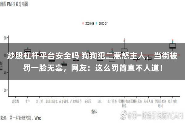 炒股杠杆平台安全吗 狗狗犯二惹怒主人，当街被罚一脸无辜，网友：这么罚简直不人道！