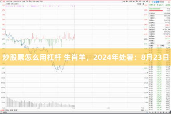 炒股票怎么用杠杆 生肖羊，2024年处暑：8月23日