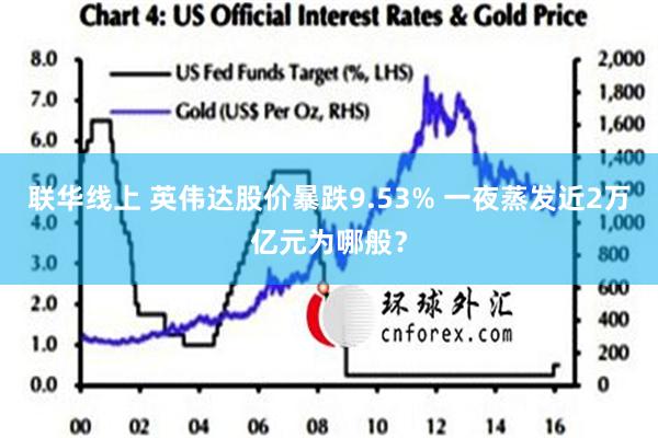 联华线上 英伟达股价暴跌9.53% 一夜蒸发近2万亿元为哪般？