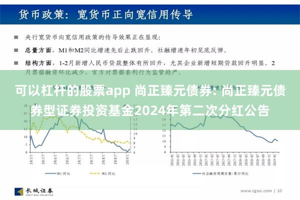 可以杠杆的股票app 尚正臻元债券: 尚正臻元债券型证券投资基金2024年第二次分红公告