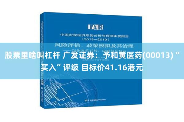 股票里啥叫杠杆 广发证券：予和黄医药(00013)“买入”评级 目标价41.16港元