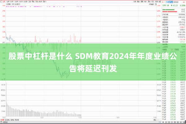 股票中杠杆是什么 SDM教育2024年年度业绩公告将延迟刊发