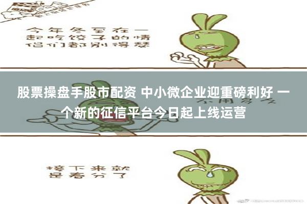 股票操盘手股市配资 中小微企业迎重磅利好 一个新的征信平台今日起上线运营