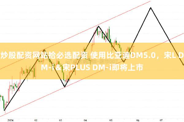 炒股配资网站拾必选配资 使用比亚迪DM5.0，宋L DM-i＆宋PLUS DM-i即将上市