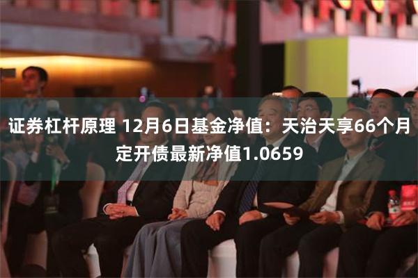 证券杠杆原理 12月6日基金净值：天治天享66个月定开债最新净值1.0659