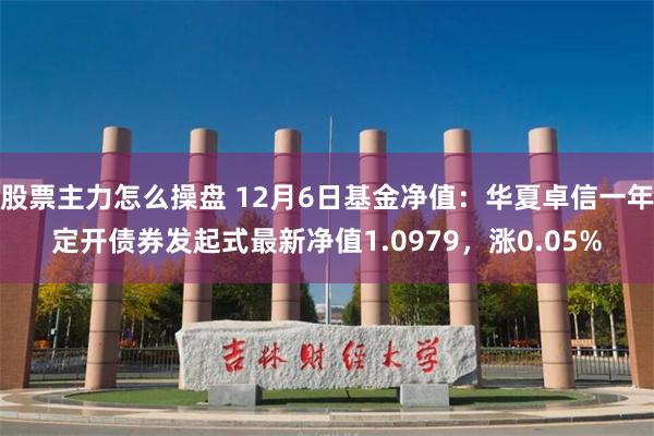 股票主力怎么操盘 12月6日基金净值：华夏卓信一年定开债券发起式最新净值1.0979，涨0.05%