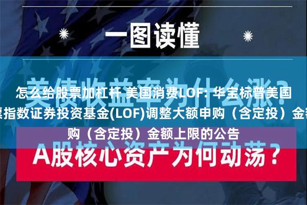 怎么给股票加杠杆 美国消费LOF: 华宝标普美国品质消费股票指数证券投资基金(LOF)调整大额申购（含定投）金额上限的公告