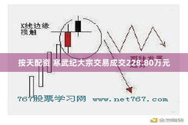 按天配资 寒武纪大宗交易成交228.80万元